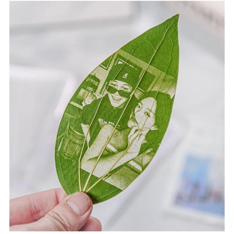 Leaf carving curved photo frame