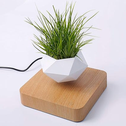 zph™ Levitating Pot