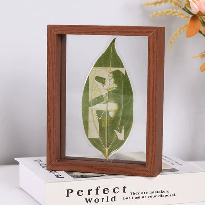 Leaf carving photo custom lamp ornament transparent glass cover