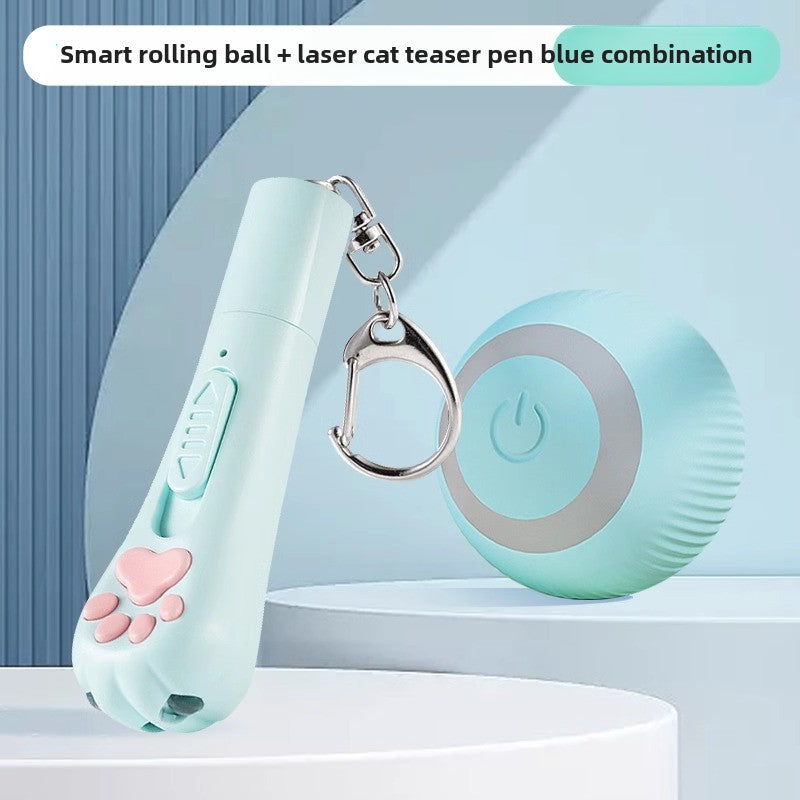 Cat laser pointer cat teaser